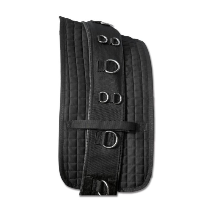 Waldhausen GmbH Waldhausen Longiergurt-Unterlage WB (Warmblut)