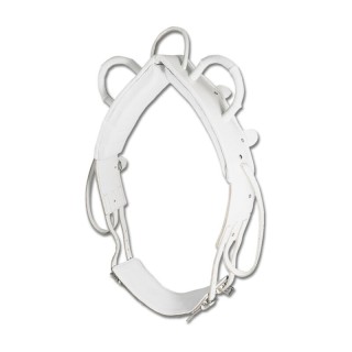 Waldhausen GmbH Waldhausen Voltigiergurt mit Mittelriemen