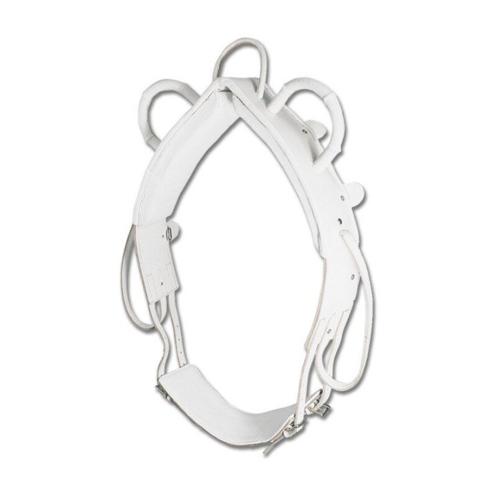 Waldhausen GmbH Waldhausen Voltigiergurt mit Mittelriemen