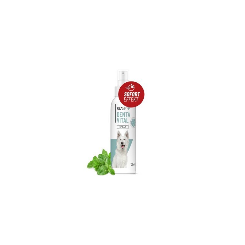 REAVET Denta Vital Spray 120ml