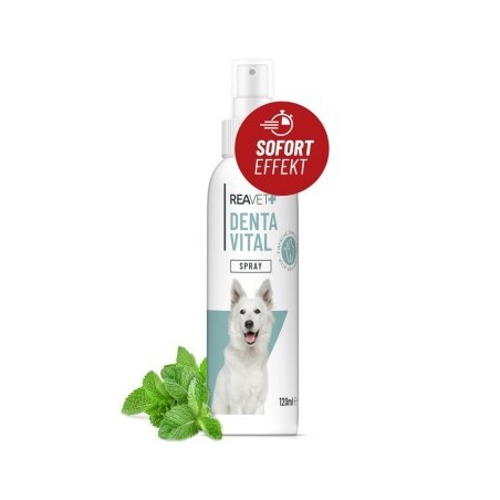 REAVET Denta Vital Spray 120ml