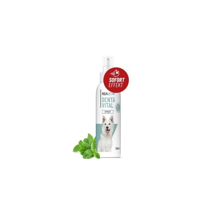 REAVET Denta Vital Spray 120ml
