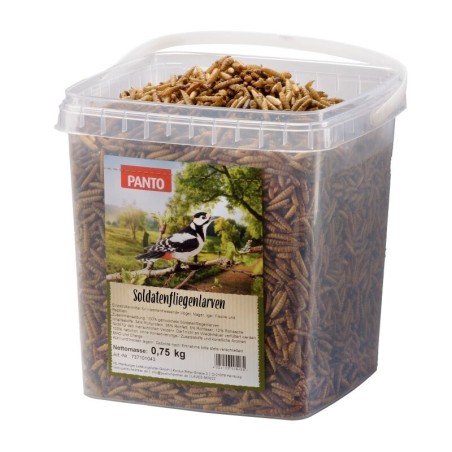 Panto SOLDATENFLIEGENLARVEN 750G