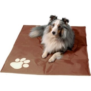 Dobar Kühlmatte für Hunde, braun