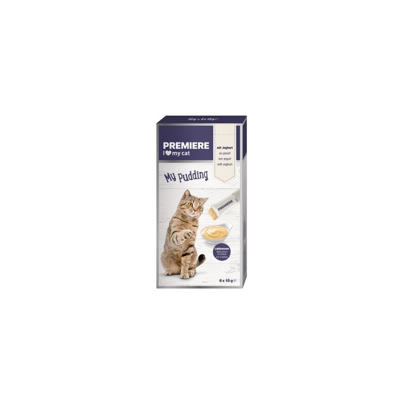 PREMIERE My Pudding 11x6x15 g Joghurt