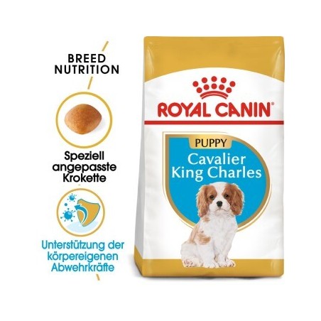 ROYAL CANIN Cavalier King Charles Puppy 1,5kg