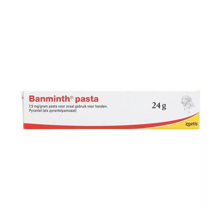 Banminth Paste Hund - 24 g