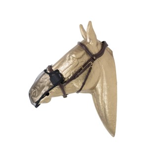 Kentucky Horsewear Anti Fly Nasen Netz