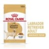 ROYAL CANIN Labrador Retriever Adult 20x140 g