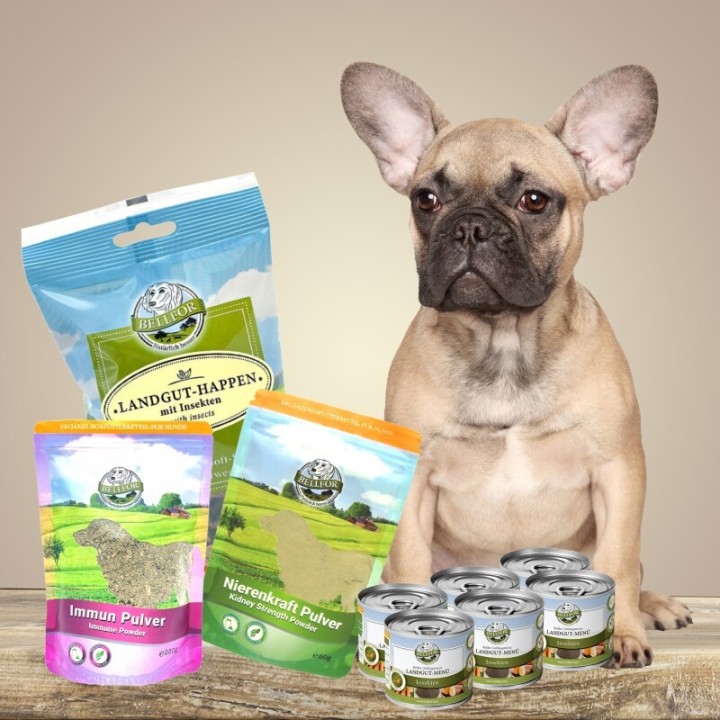 Bellfor Hypoallergenes Hundefutter Nass im Sparset für kleine Hunde 2,760 g