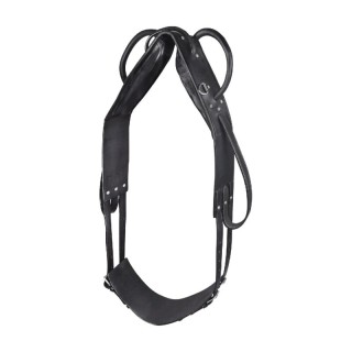 Waldhausen GmbH Waldhausen Longier- und Voltigiergurt