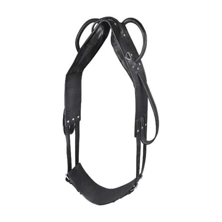 Waldhausen GmbH Waldhausen Longier- und Voltigiergurt