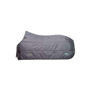 Weatherbeeta Unterdecke Green-Tec Medium 200 g