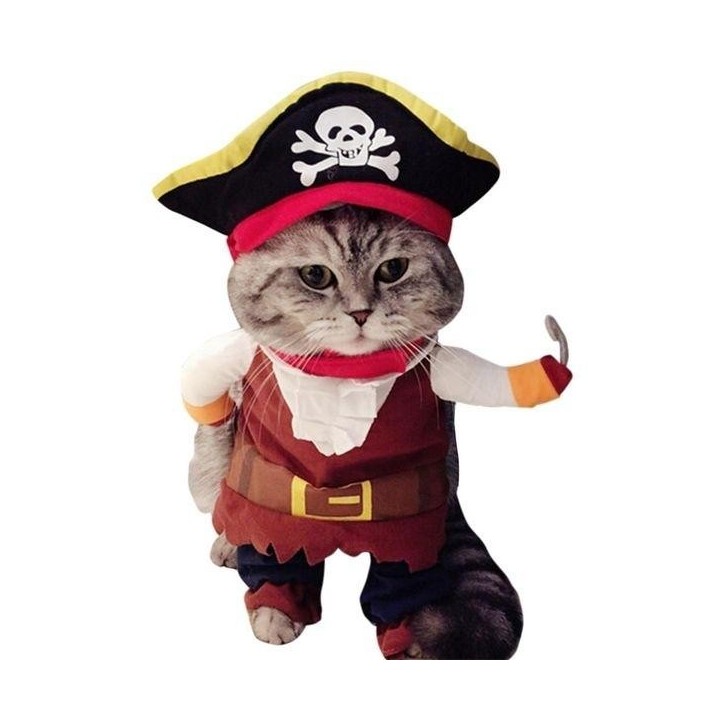 Piratenkostüm für Katzenkostüm mit Umhang