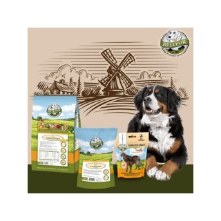 Bellfor Berner Sennenhund Futter Set