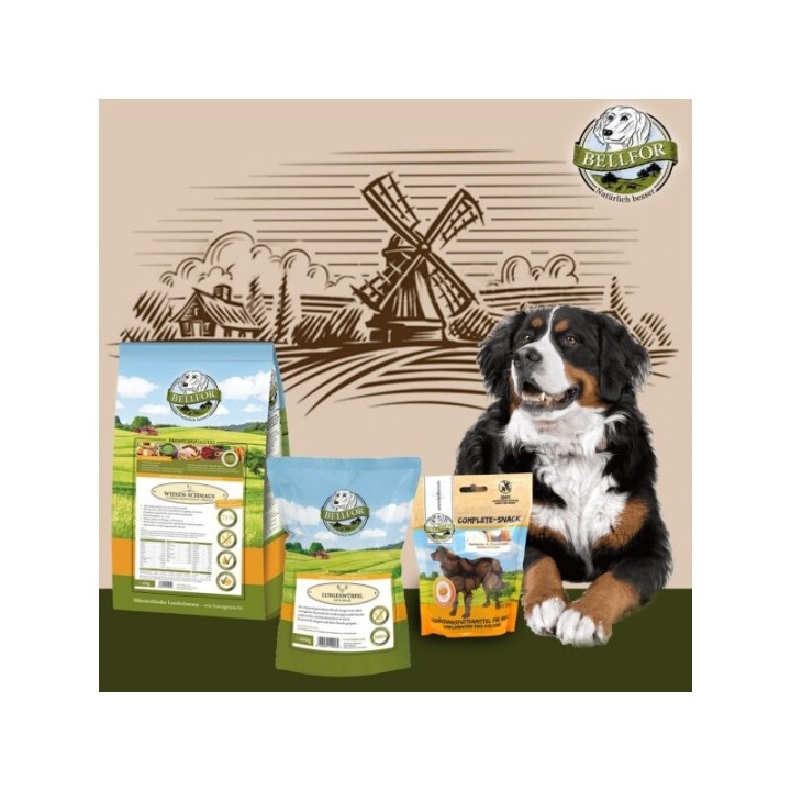 Bellfor Berner Sennenhund Futter Set