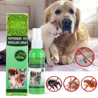 Neue High-end-Haustier Floh Mörder Tropfen 60ml Anti Flöhe Zecken Katzen Milbe Antiseptische Läuse Wunde Pet Es i4A1 60ML-1pc