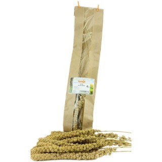 Getzoo Gelbe Kolbenhirse 5Stk