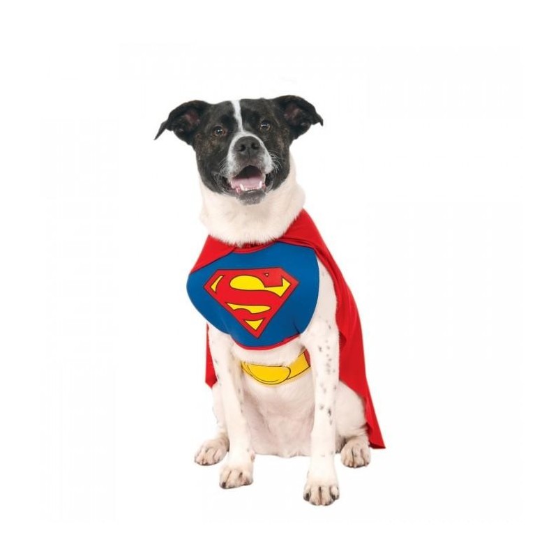 Superman Hundekostüm S blau/rot