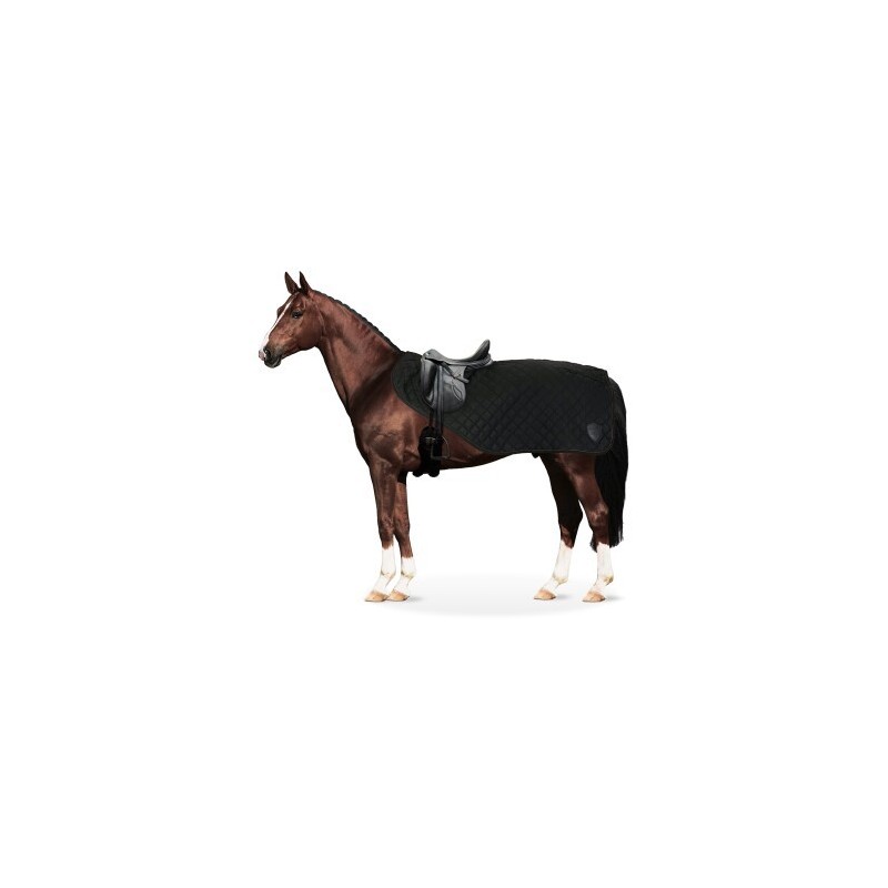 Equinate Ausreitdecke James mit Teddyfell