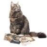 Canadian Cat Company Baldrian & Catnipspielzeug Katzenkissen LOVE, 6er Pack