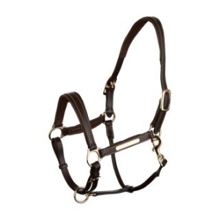 4Horses Lederhalfter Landscape kastanie braun Pony