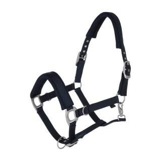 Covalliero Halfter gepolstert