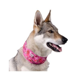 Aqua Coolkeeper Halsband - Pacific Blue - XS