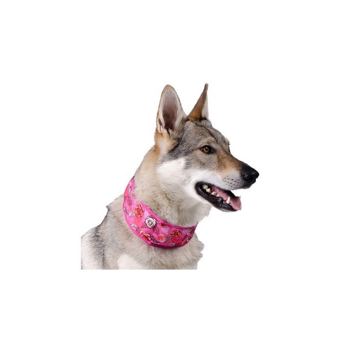 Aqua Coolkeeper Halsband - Pacific Blue - XS