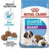ROYAL CANIN GIANT Starter für tragende Hündin und Welpen 30 kg (2 x 15 kg)