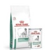 ROYAL CANIN Vet Dog Diabetic 12 kg + 12 x Diabetic 410g