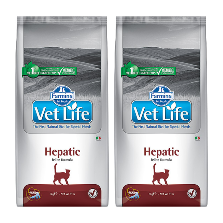 FARMINA Vet Life Hepatic Katze 2x 10 kg