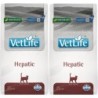 FARMINA Vet Life Cat Hepatic 2 x 2 kg