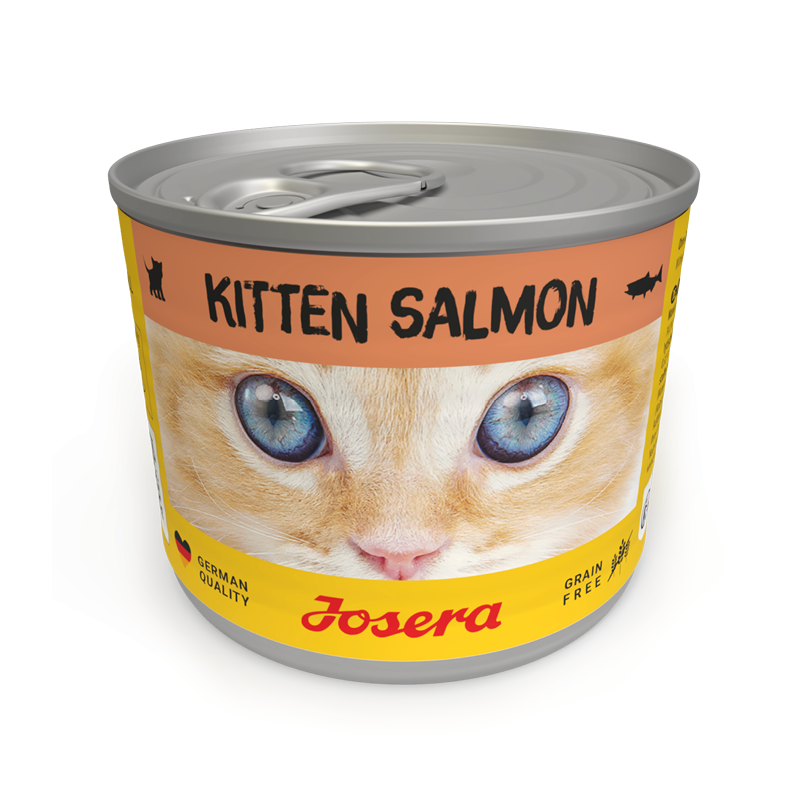 JOSERA Kitten Katzennassfutter Lachs 200g
