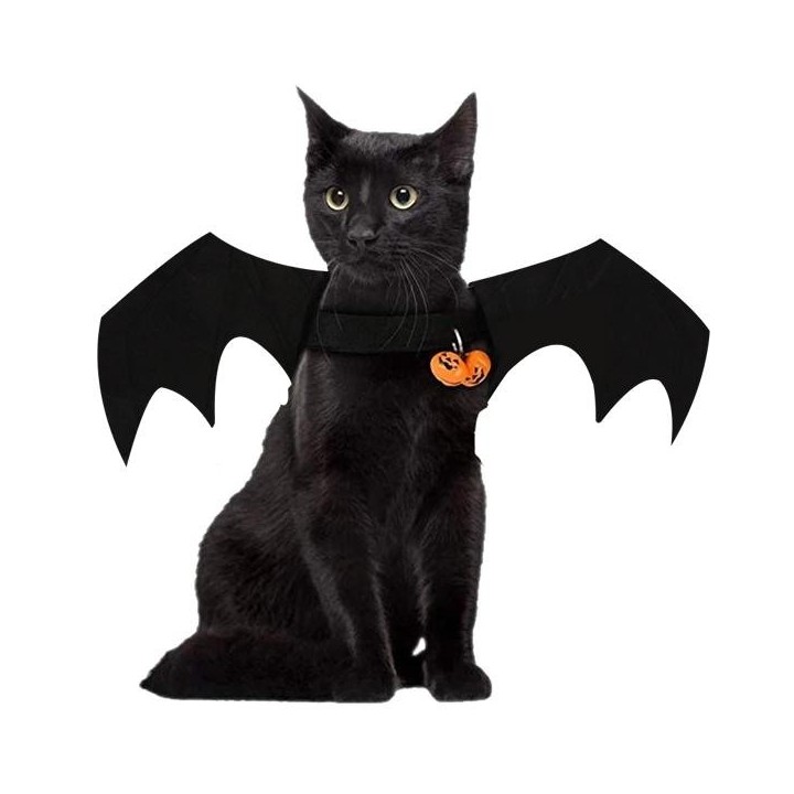 Kostüm Hund oder Katze Kostüm Fledermausflügel