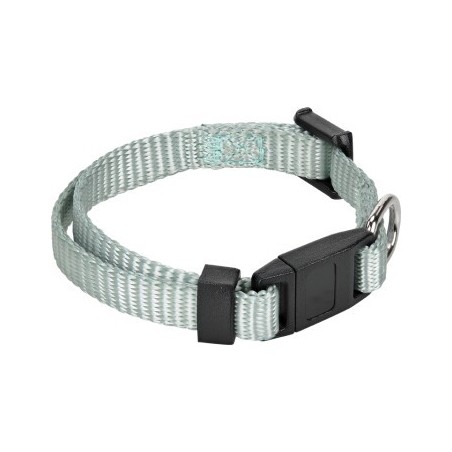 AniOne Katzenhalsband Junior türkis