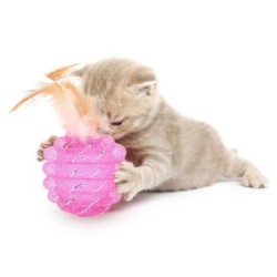 Interessantes Ballspielzeug für Katzen mit Federn aus Schnurrohr, Übungsball für Kätzchen blau