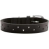 Hunter Halsband Aalborg Soul schwarz 35 cm