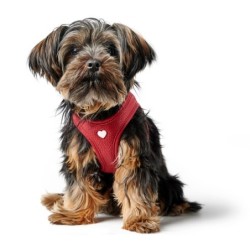 Hunter Geschirr Love 26 cm