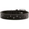 Hunter Halsband Aalborg Soul schwarz 40 cm