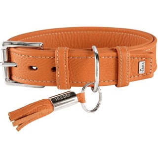 Hunter Halsband Cannes orange 50 cm