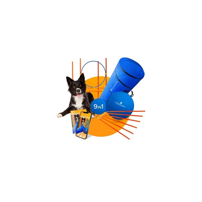 PfotenWunder® 9-in-1-Agility Set Hunde groß + 21 Min. HUNDESCHULE - 6 Slalomstangen, 1 Tunnel, für kleine & große Hunde, Trai
