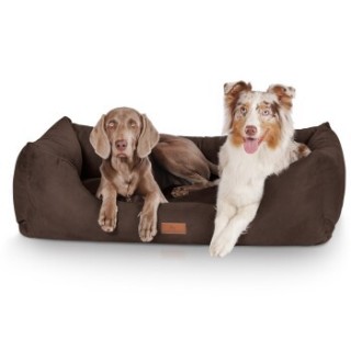 Knuffelwuff Hundebett Dreamline aus Velours braun XL