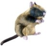 Hunter Hundespielzeug Wildlife