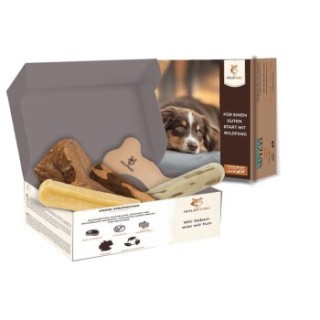 Wildfang ® Kauwurzel / Kauspielzeug Paket Hundebox - Kauspaß S