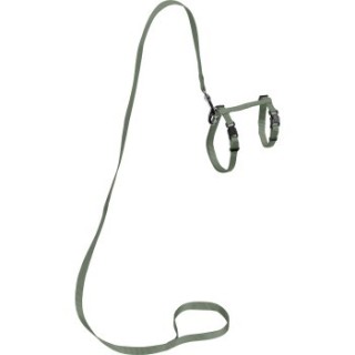 AniOne Katzengeschirr mit Leine grün