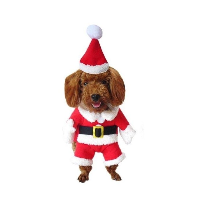 Weihnachtshundekostüm kleines Hundekostüm