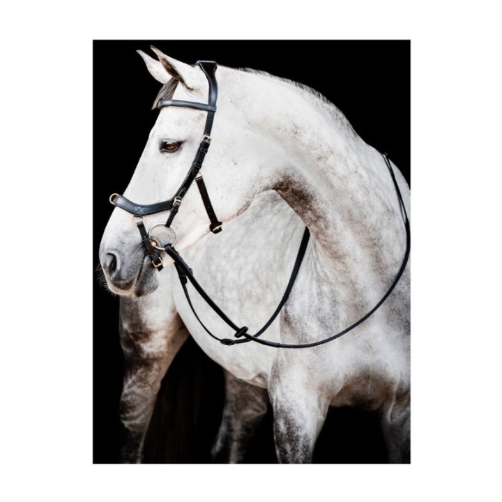 Horseware Trense Micklem Multi Bridle VB/ COB (Vollblut)