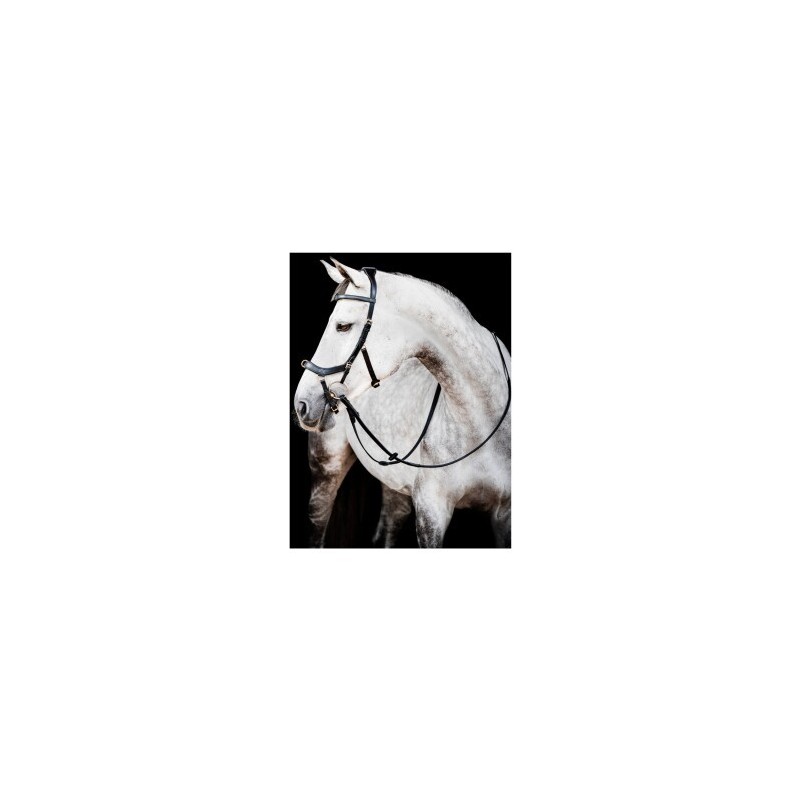 Horseware Trense Micklem Multi Bridle VB/ COB (Vollblut)