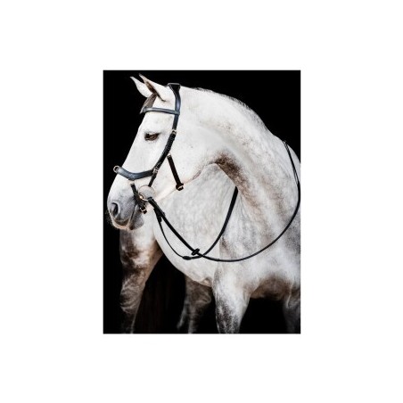 Horseware Trense Micklem Multi Bridle VB/ COB (Vollblut)